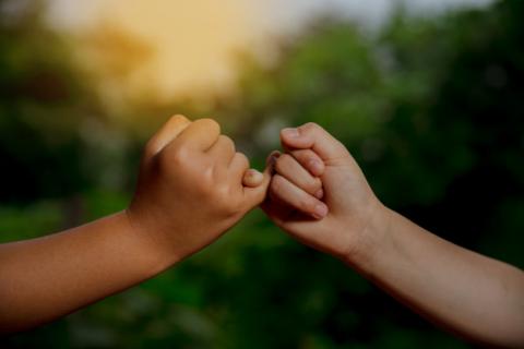 Don’t Marry Anyone Who Is Not Honest
